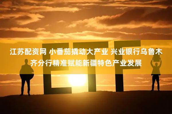 江苏配资网 小番茄撬动大产业 兴业银行乌鲁木齐分行精准赋能新疆特色产业发展